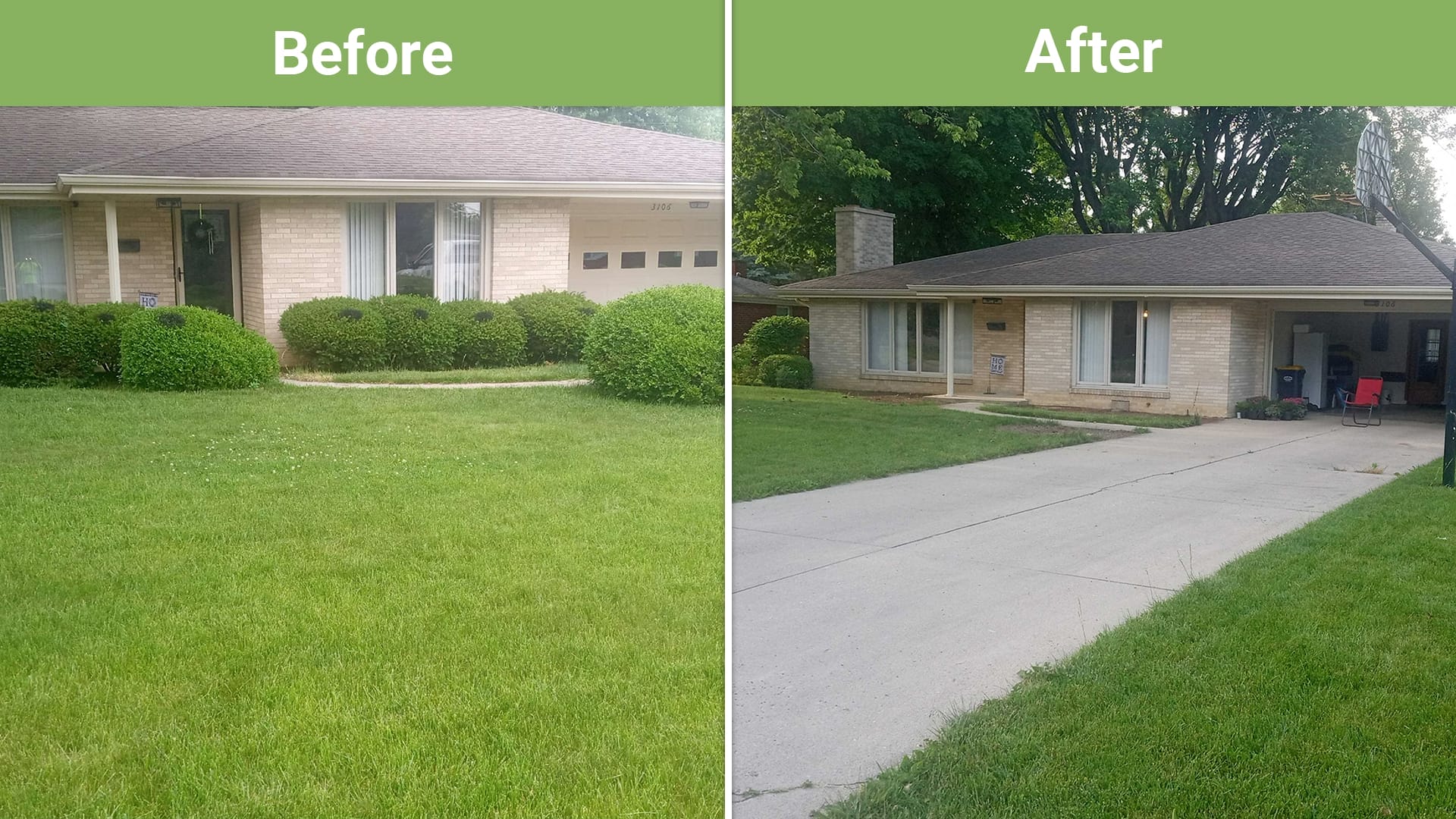 Noblesville bush removal project