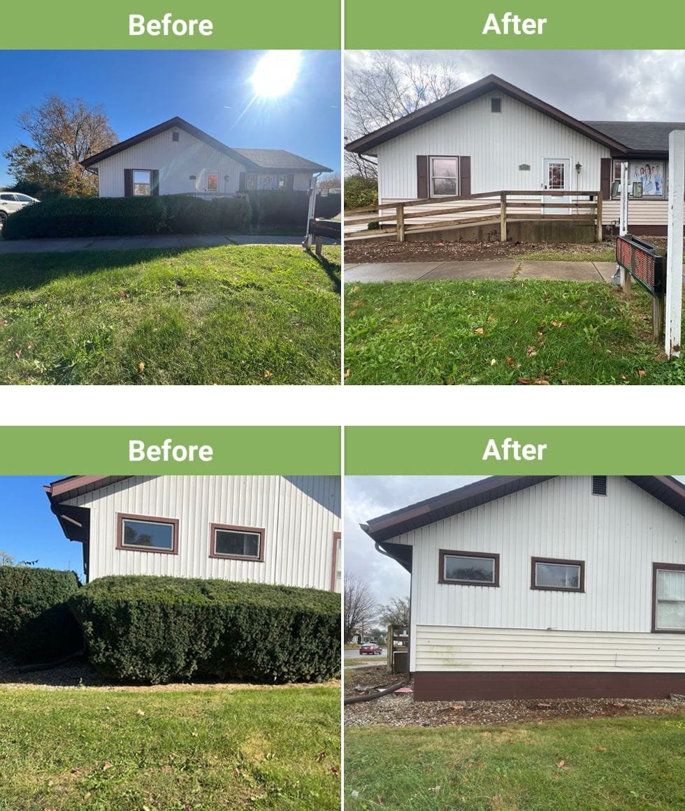 Bush Removal Before & After #2