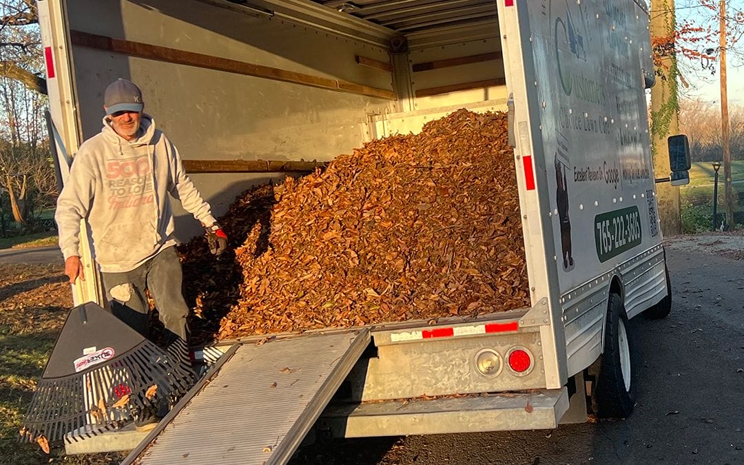 Fall Cleanup #1