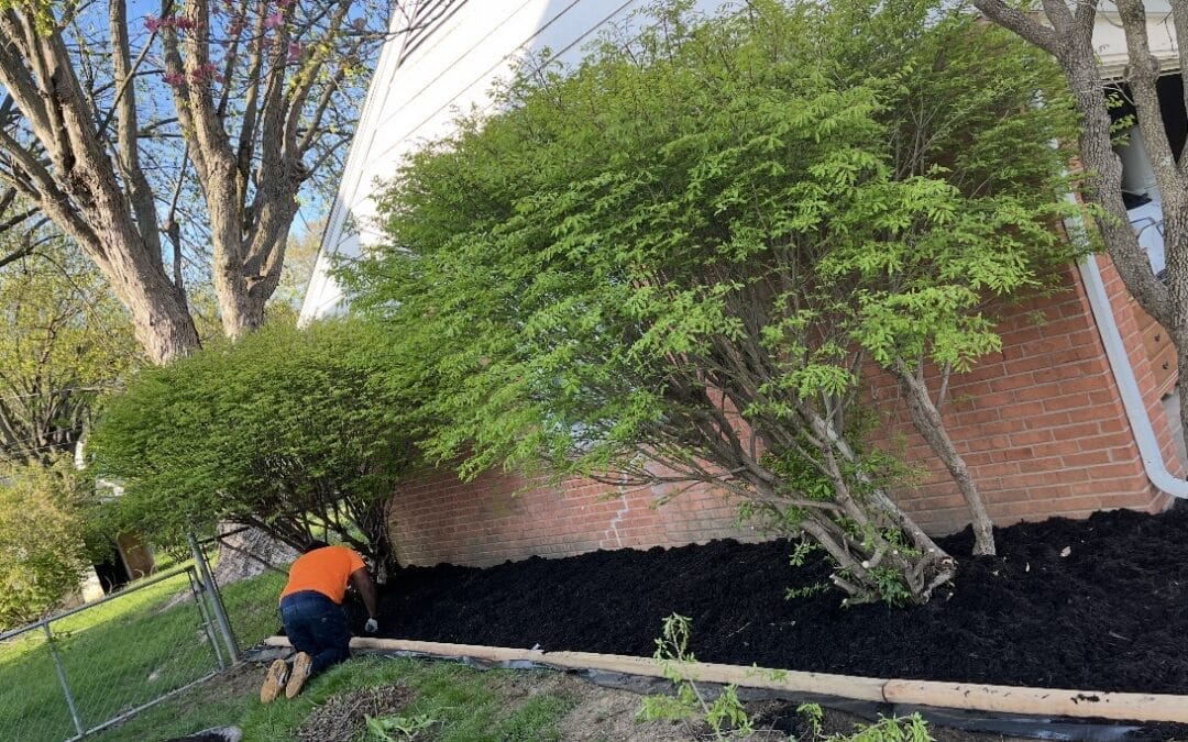 Mulch Spreading #1