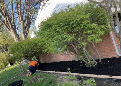Mulch Spreading #1