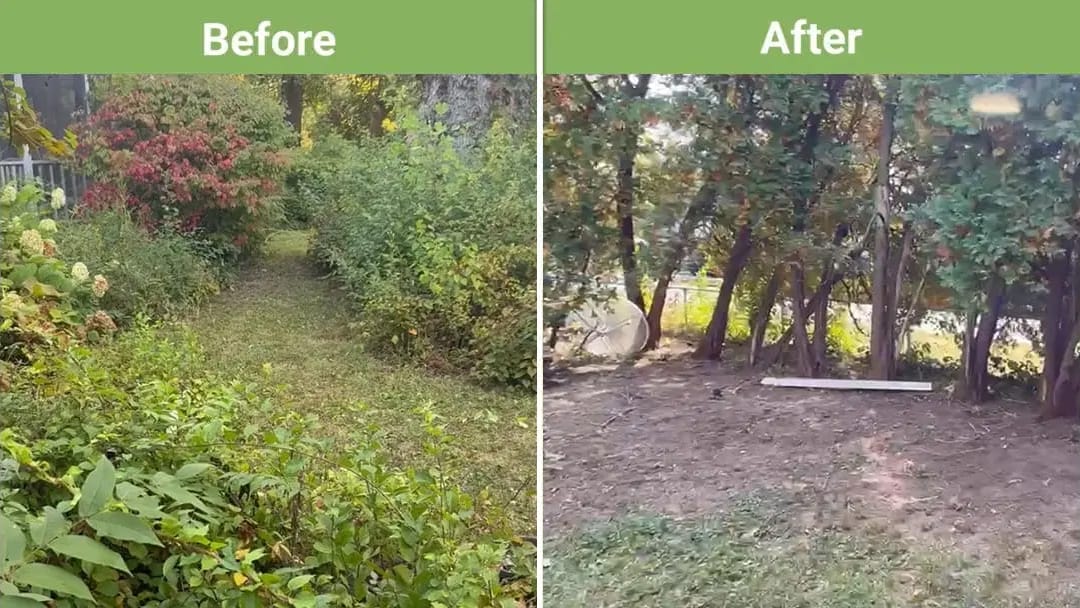 Noblesville yard cleanup